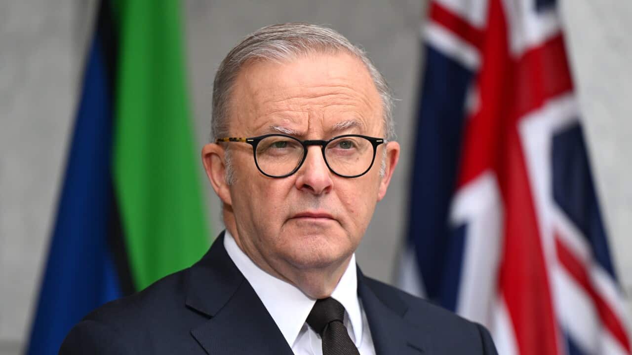 Anthony Albanese, wearing a suit and glasses, standing in front of two flags