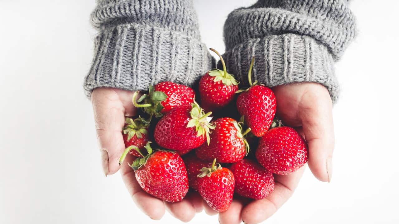 Dr Michael Mosley and James Wong explore why strawberries are so acidic yet taste so sweet.