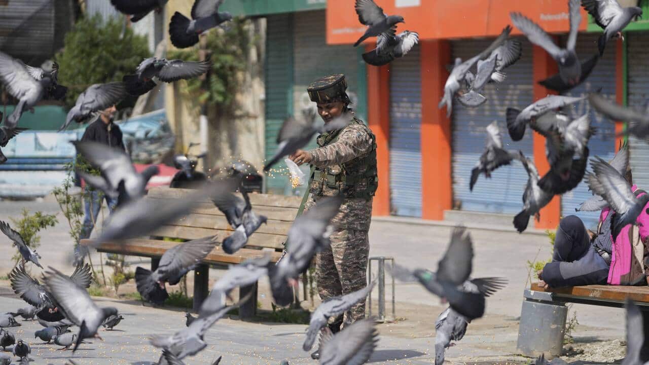 India Pakistan