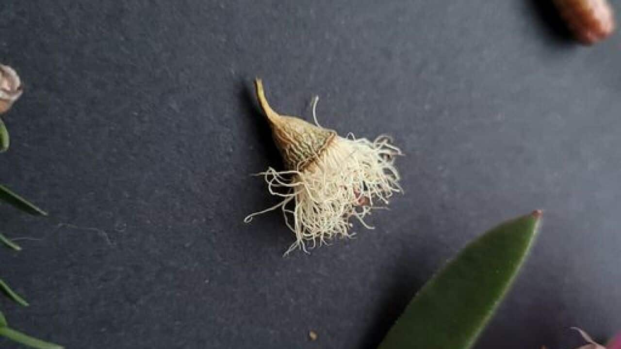 Image for read more article 'READ MORE'