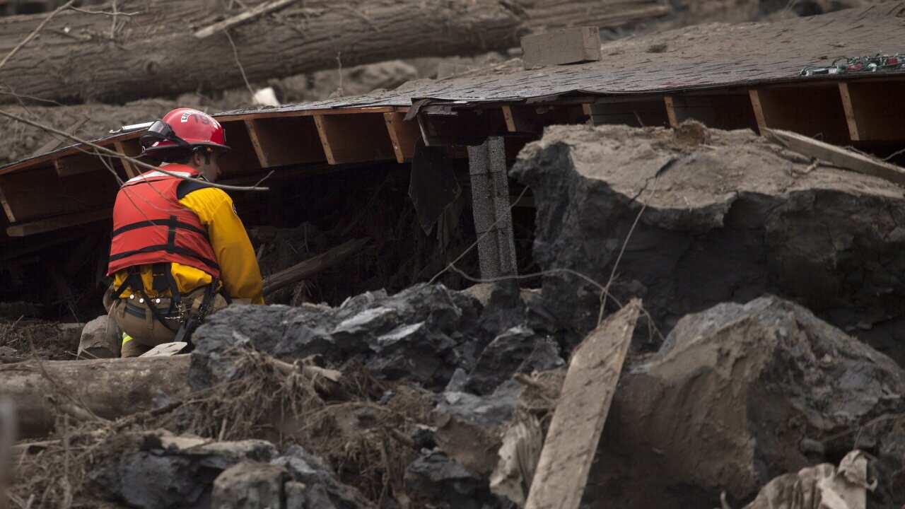 140326_aap_mudslide_usa.jpg