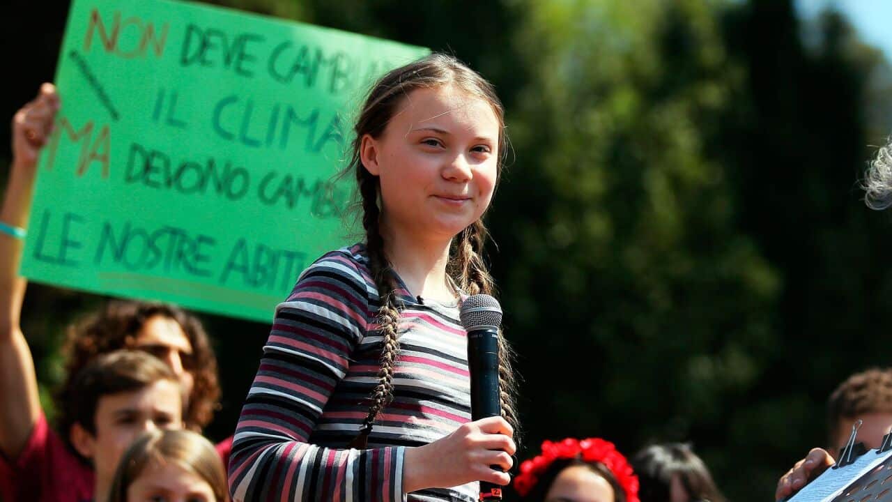 Great Thunberg, I Am Greta