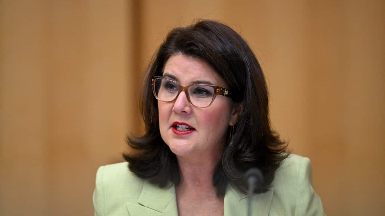 Liberal Senator Jane Hume slams the government over immigration detention (AAP