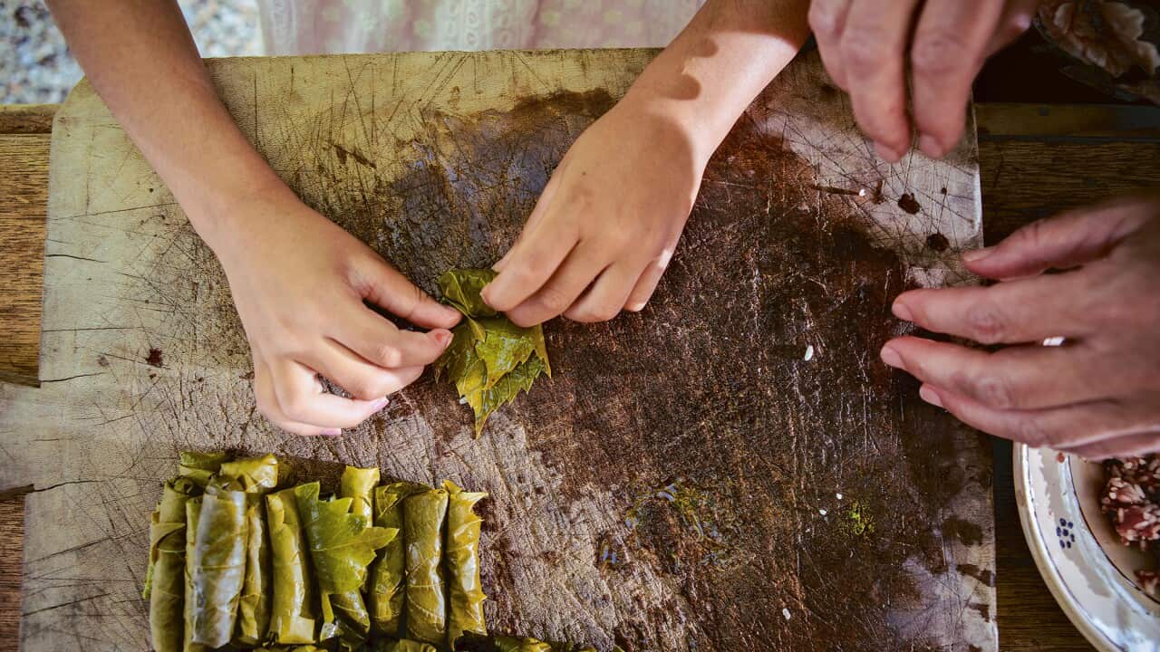 Seen from overhead, two people roll vine leaves.