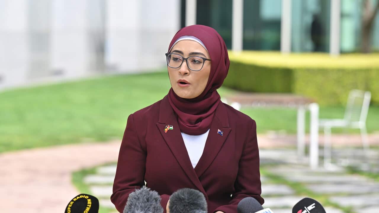 FATIMA PAYMAN PRESSER