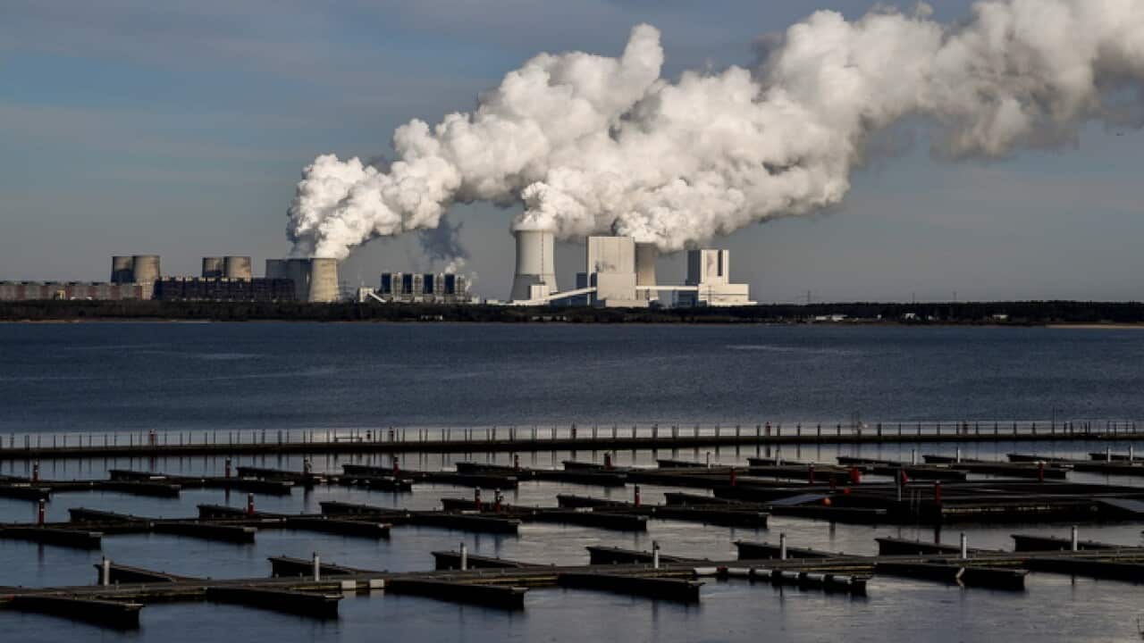 : Water vapor rising from the lignite-fired power station (AAP)