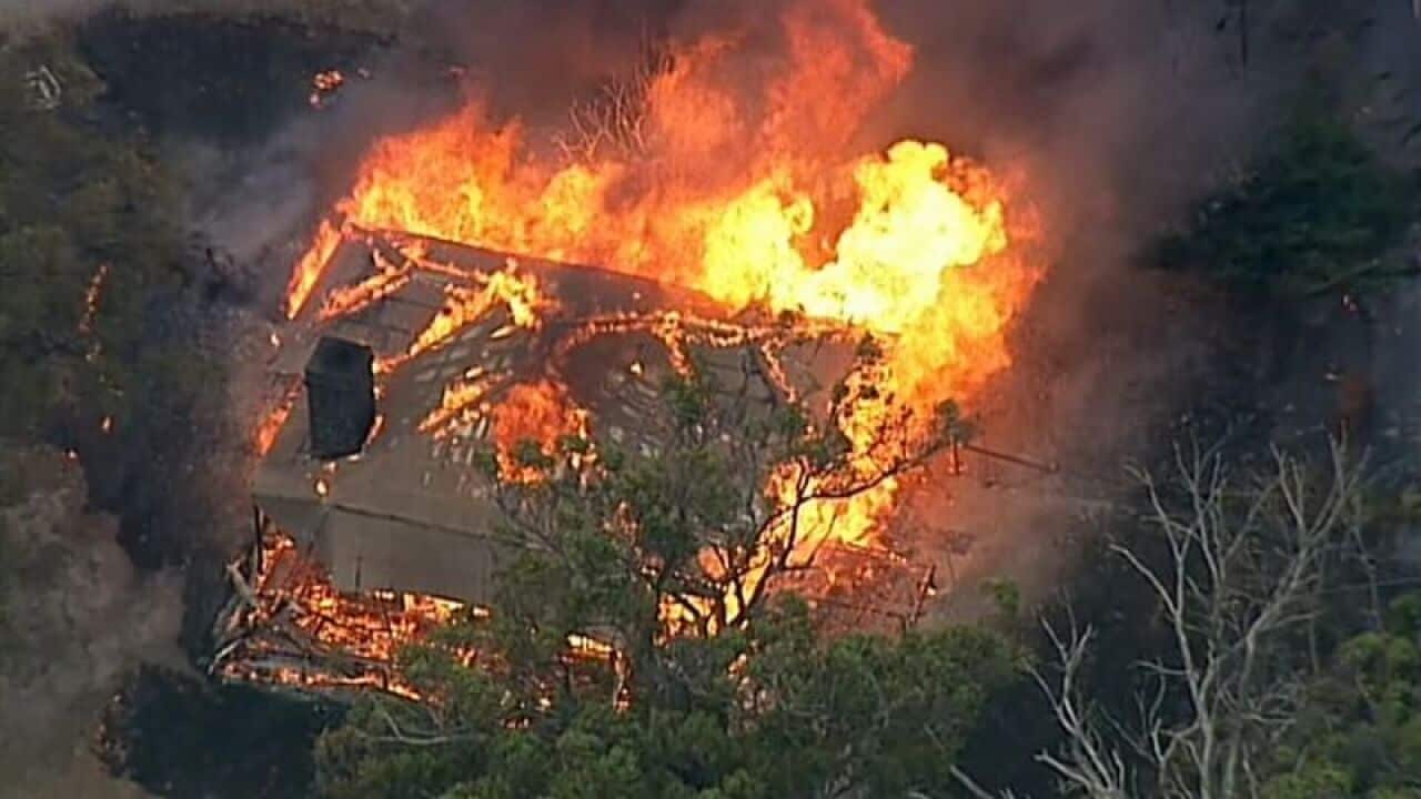 Bushfire