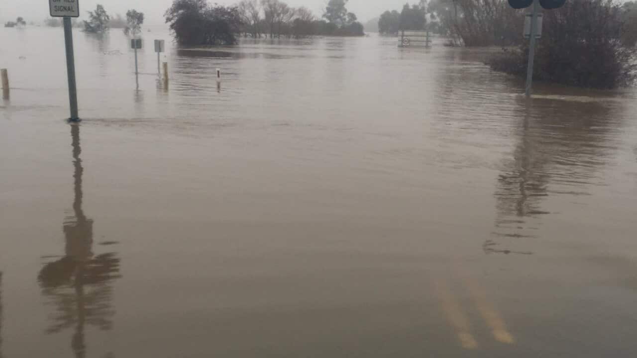 the flooded South Esk River.