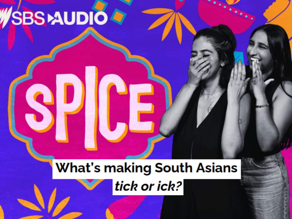 sbs spice.png