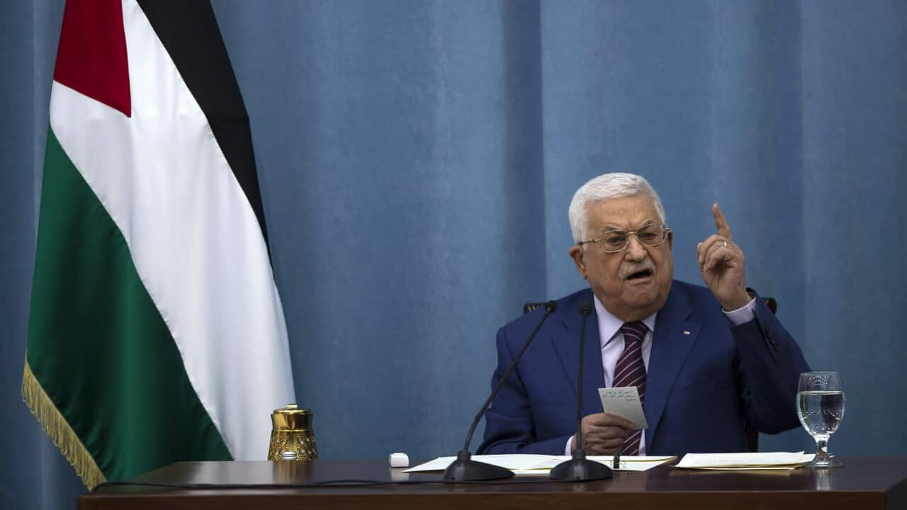 Palestinians Holocaust