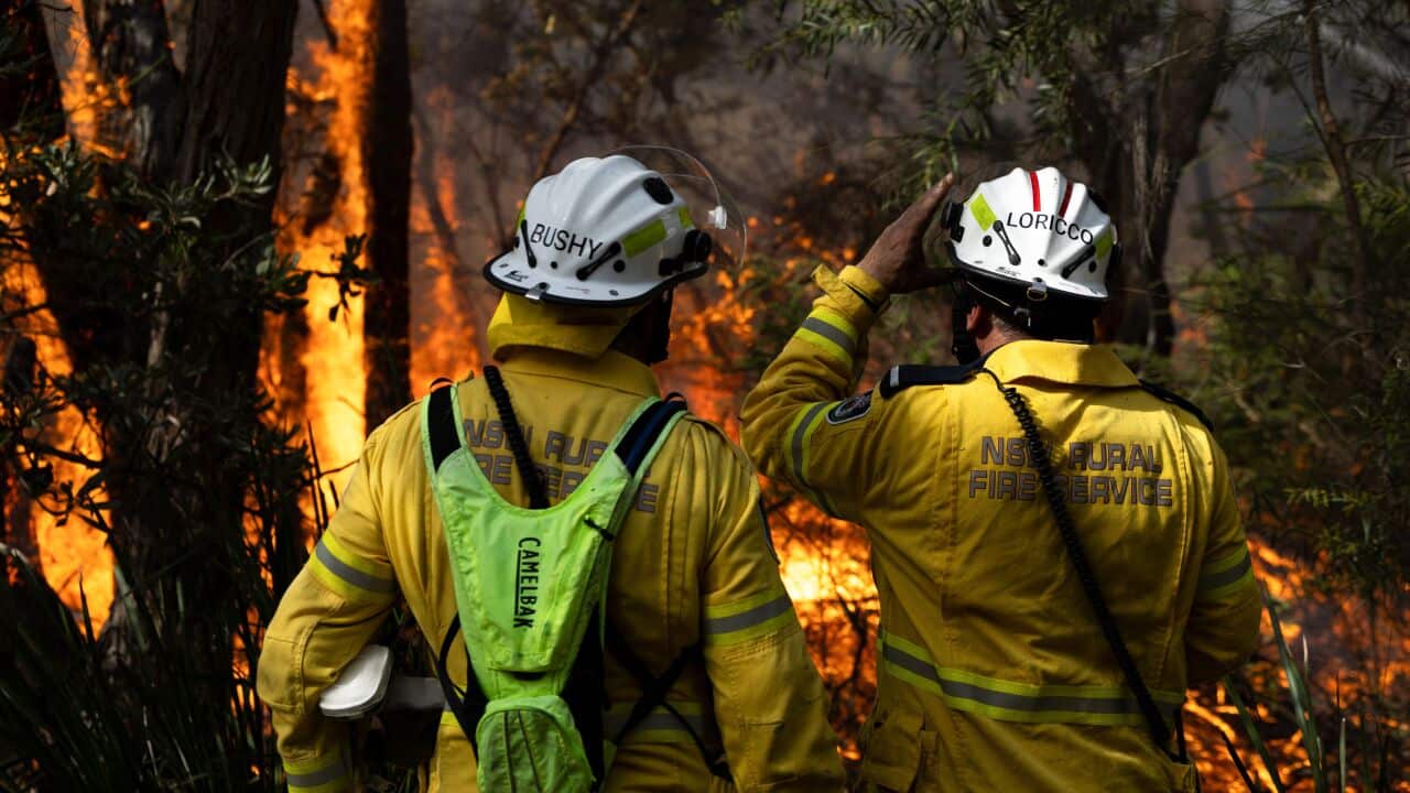 Volunteer firefighters monitoring a hazard reduction burn