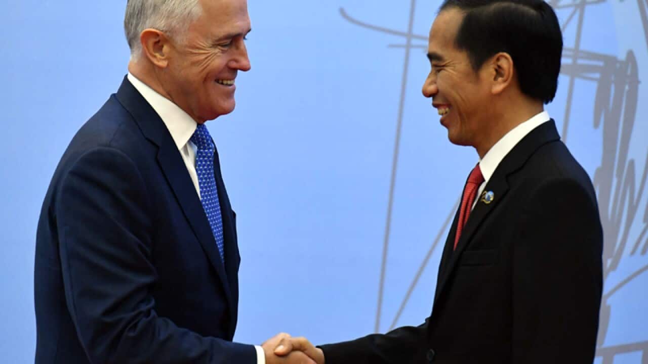 Malcolm Turnbull with Indonesian President Joko Widodo
