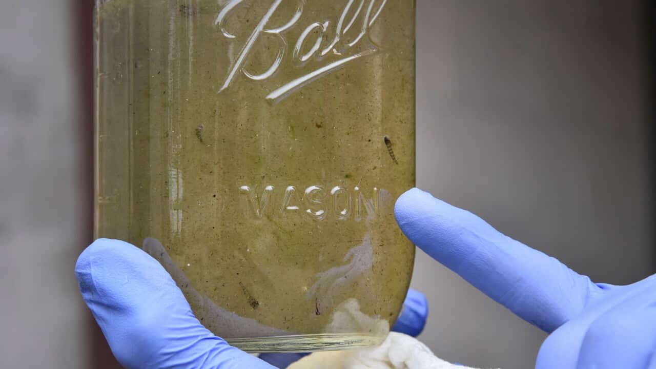A sample of water that contains possible microplastics at a water treatment plant in the US.