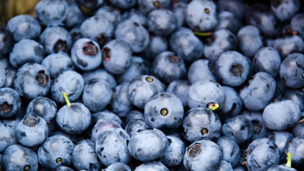 Blueberries