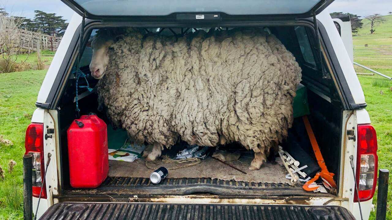 Image for read more article 'RECOMMENDED TO READ'