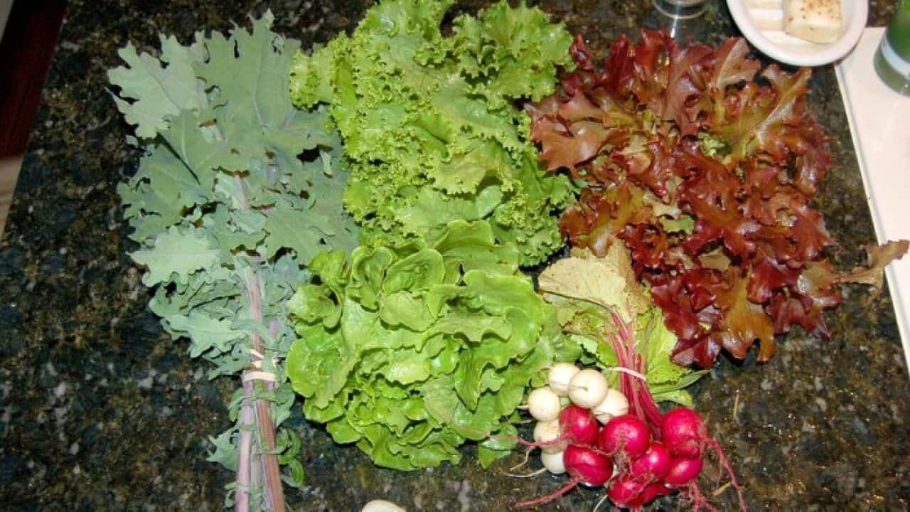 Green salad