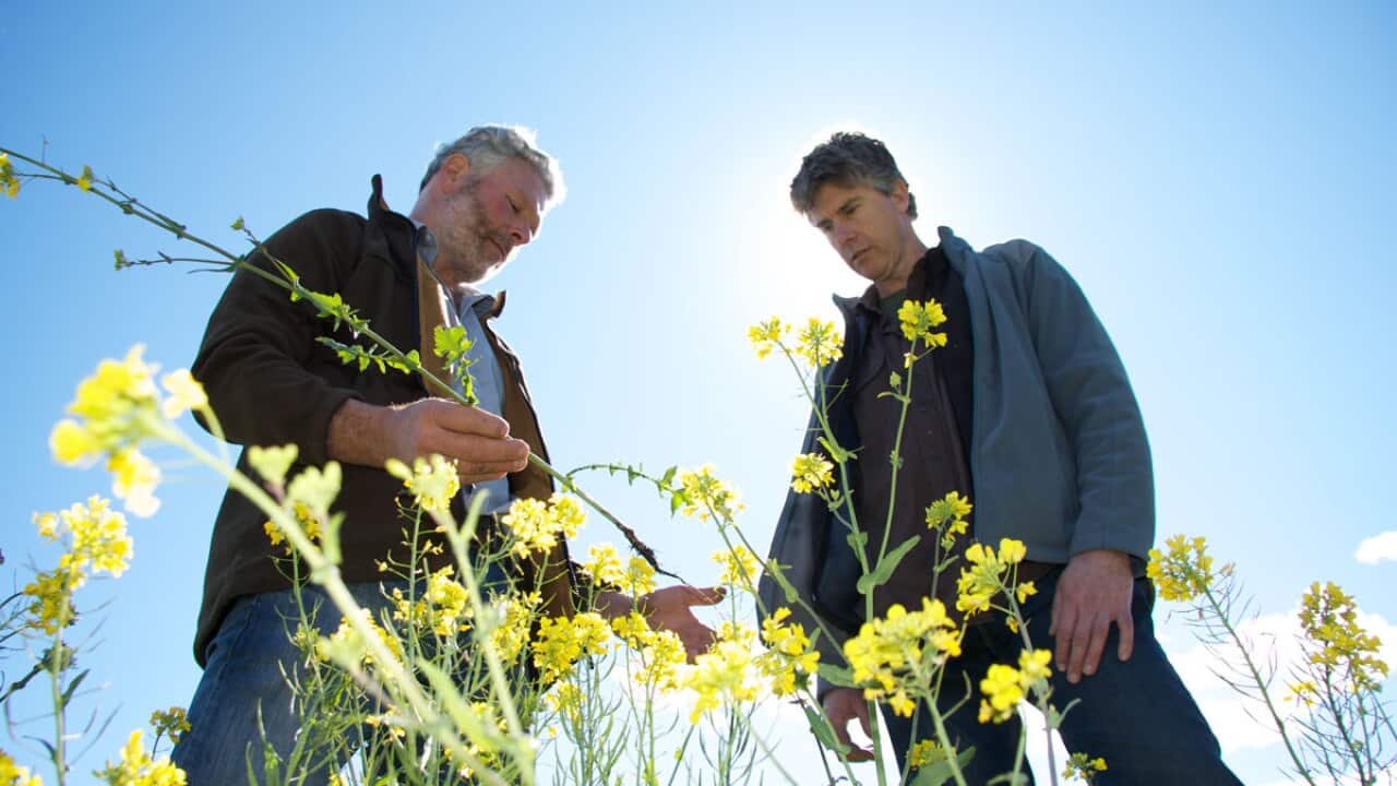 Episode 6: Gourmet Farmer
