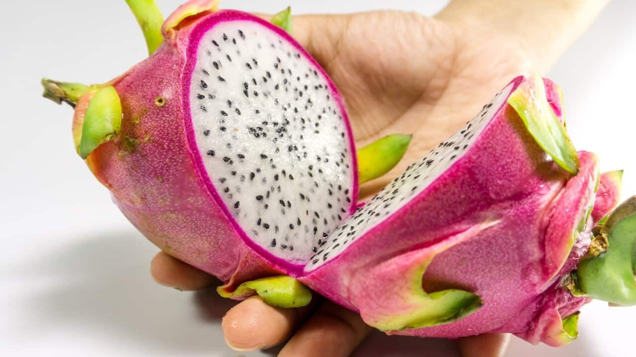 Dragon fruit