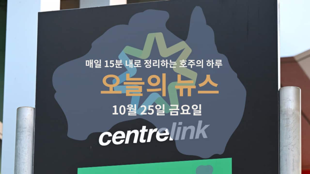 15news_web25.png