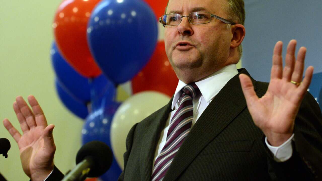 Labor leadership aspirant Anthony Albanese