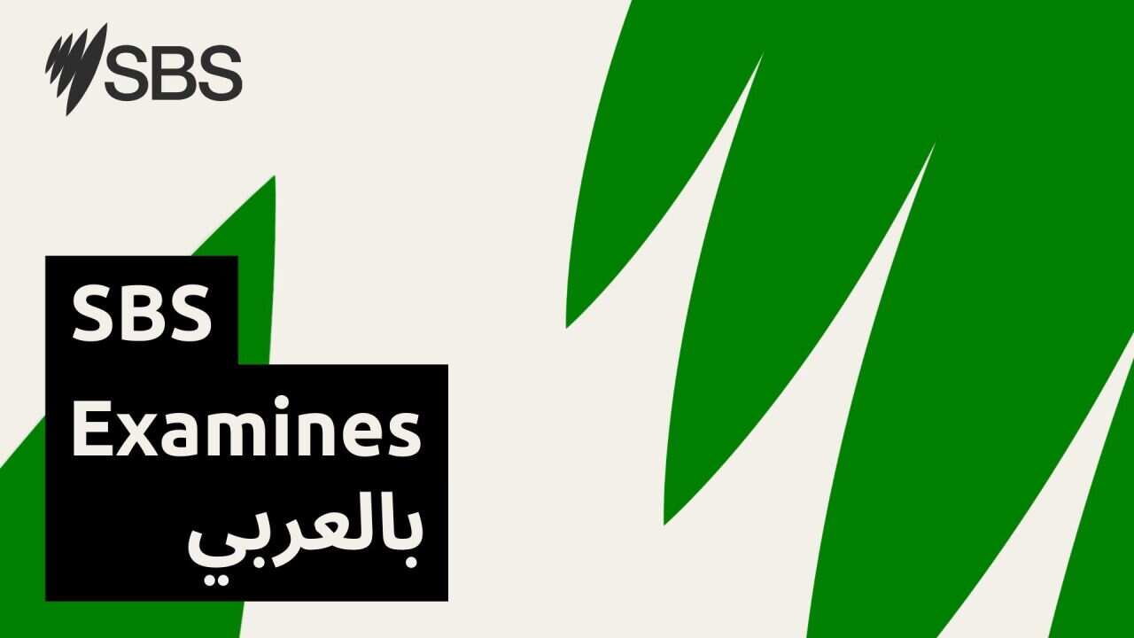 أس بي أس تتحقق | SBS Arabic