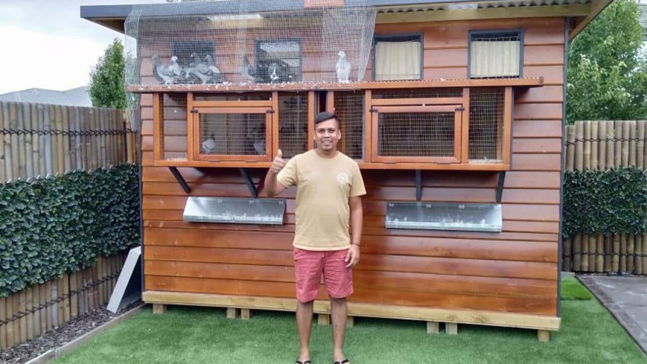 Pakistani Australian who races pigeons in Australia