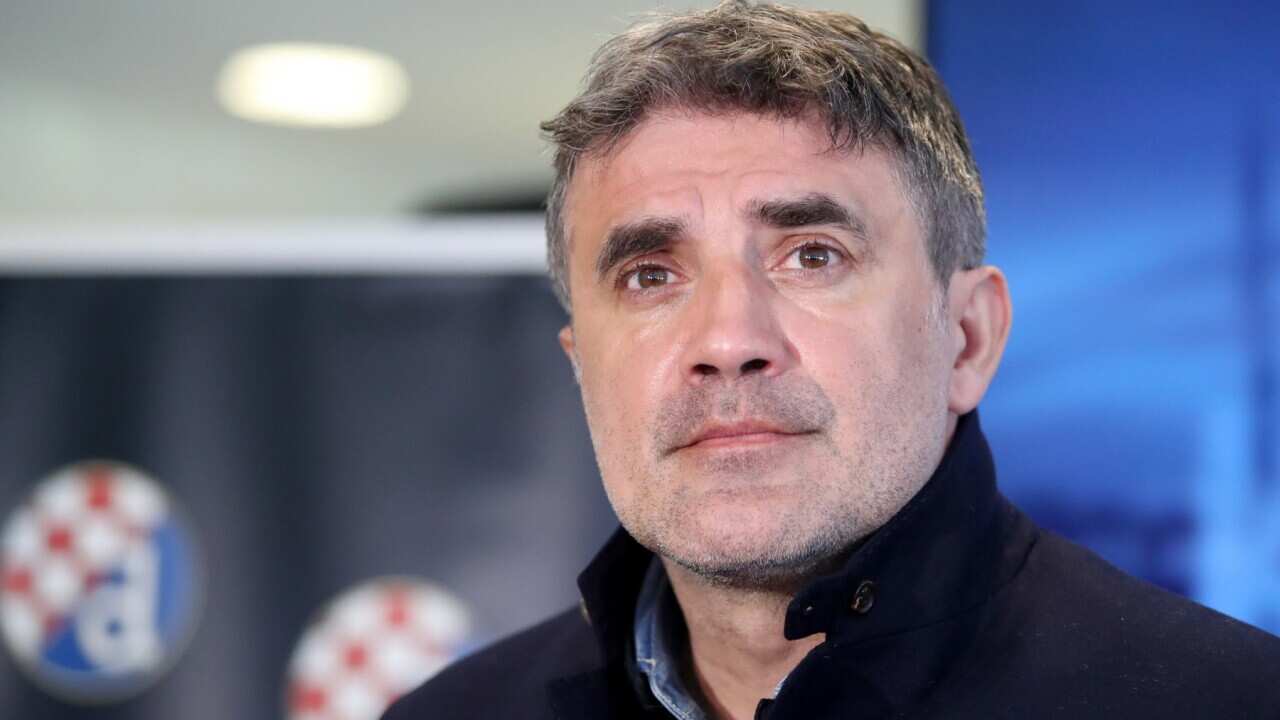 Zoran Mamic Dinamo Coach