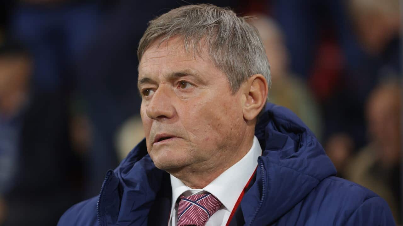 Serbia's head coach Dragan Stojkovic reacts during the 2026 FIFA World Cup European Qualifiers Group K soccer match between Serbia and Albania in Leskovac, Serbia, 11 October 2025.