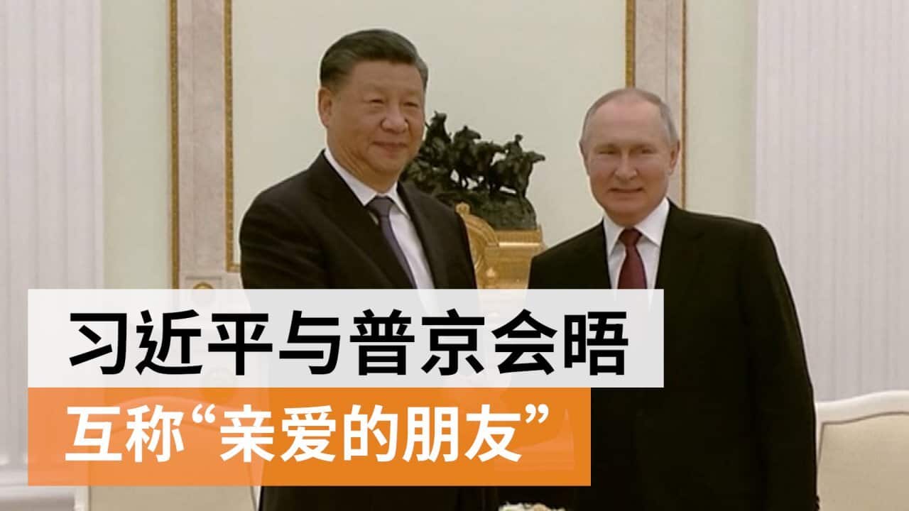 Image for read more article '更多内容'