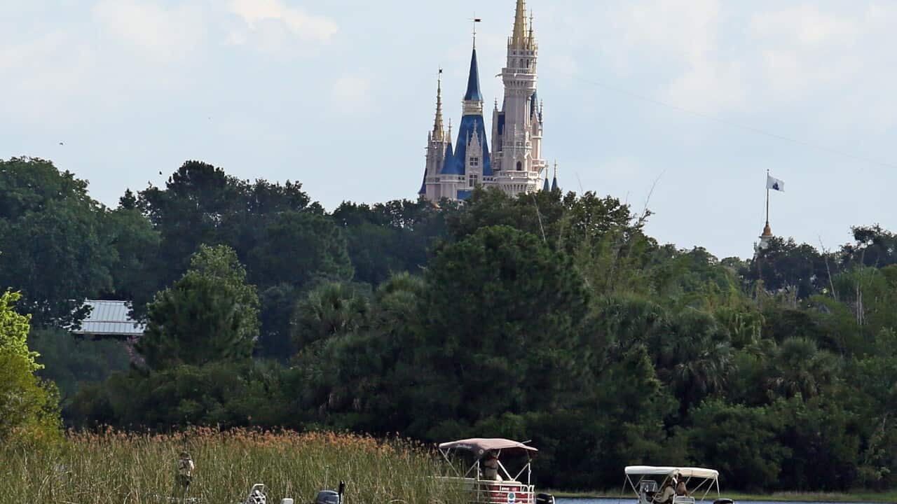 Disney, alligator, toddler