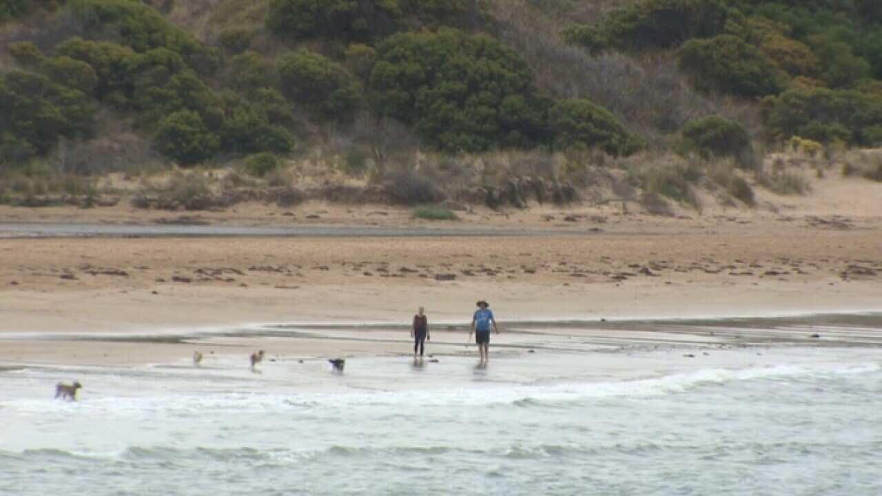 A beach in Torquay, part of the marginal Victorian federal electorate of Corangamite