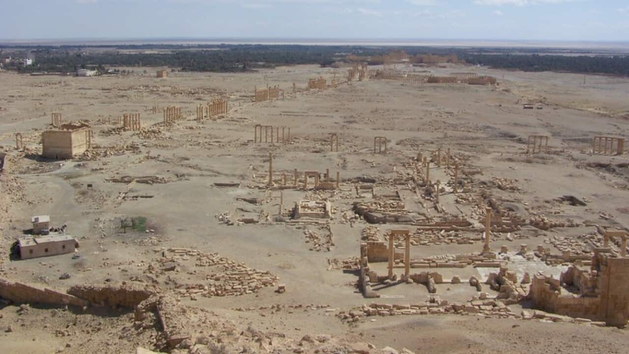An overview of the Palmyrah heritage site - Sacha Payne