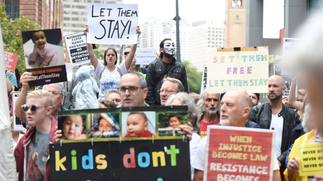 Hundreds of protesters hold a rally outside the Department of Immigration offices in Sydney, Thursday, Feb. 4, 2016.