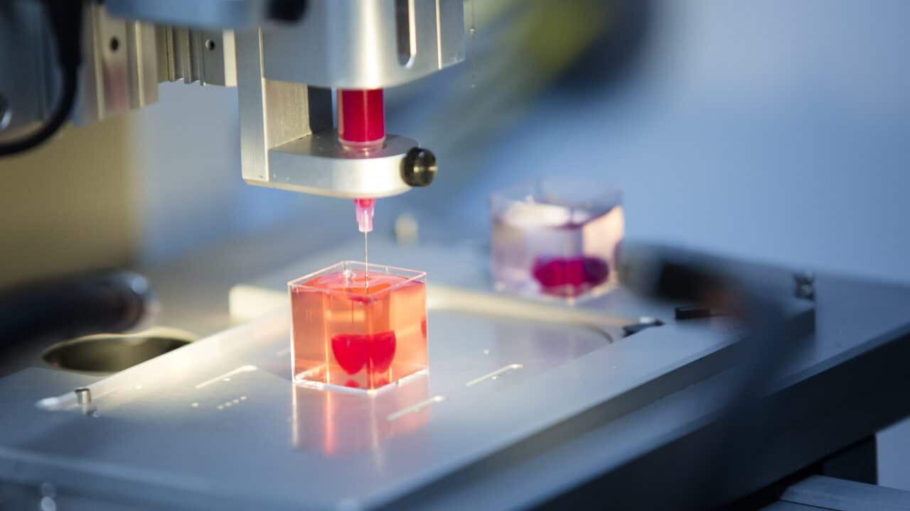 Israeli scientists in Tel Aviv have created a human heart that completely matches all the anatomical properties of a human patient, using a 3D printer.