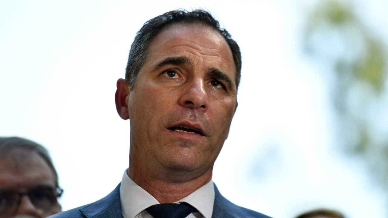 NSW Shadow Minister for Education Jihad Dib at a press conference in Sydney.