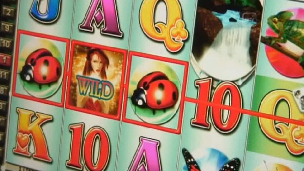 Gambling