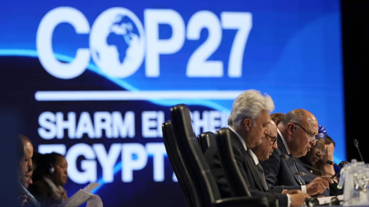 COP27 Climate Summit