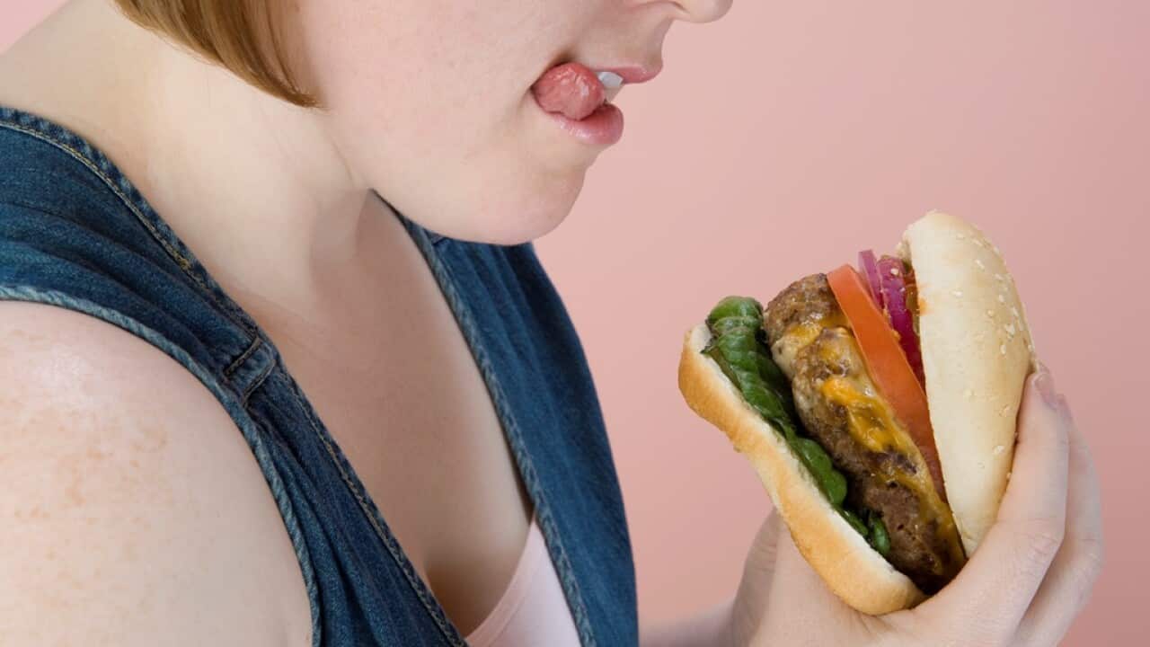 Hamburger