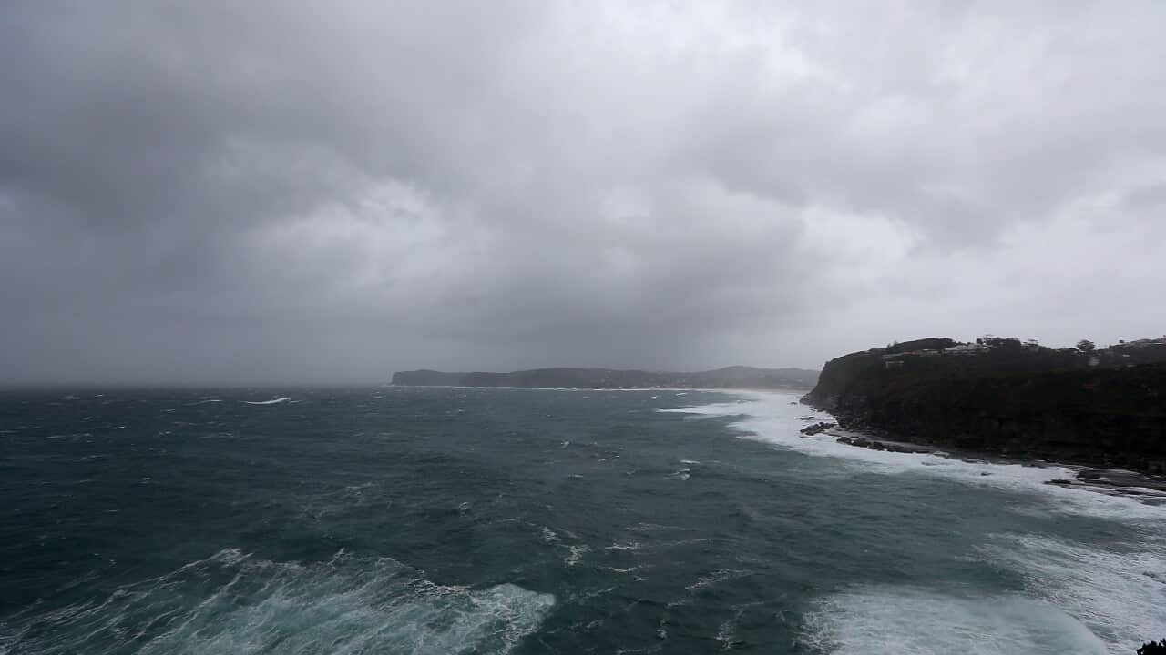 The woman's body was located by fishermen about 150 metres away from the popular Terrigal Haven boat ramp.