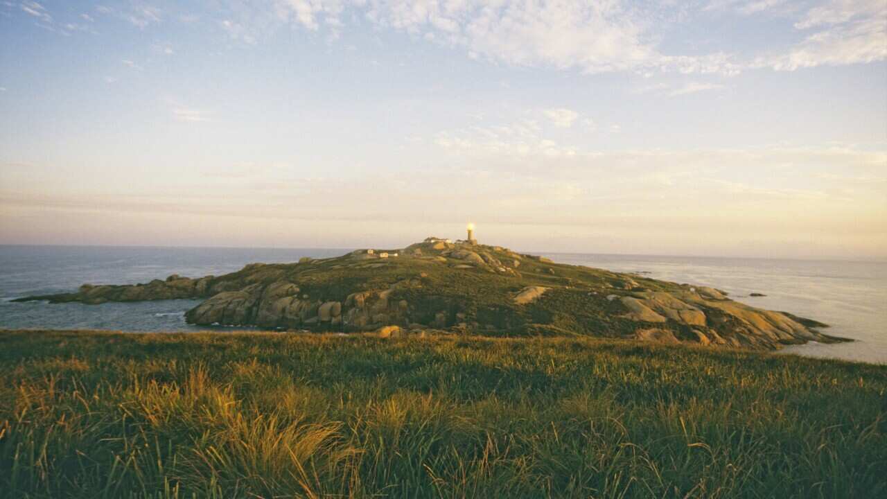 Image for read more article 'READ MORE'