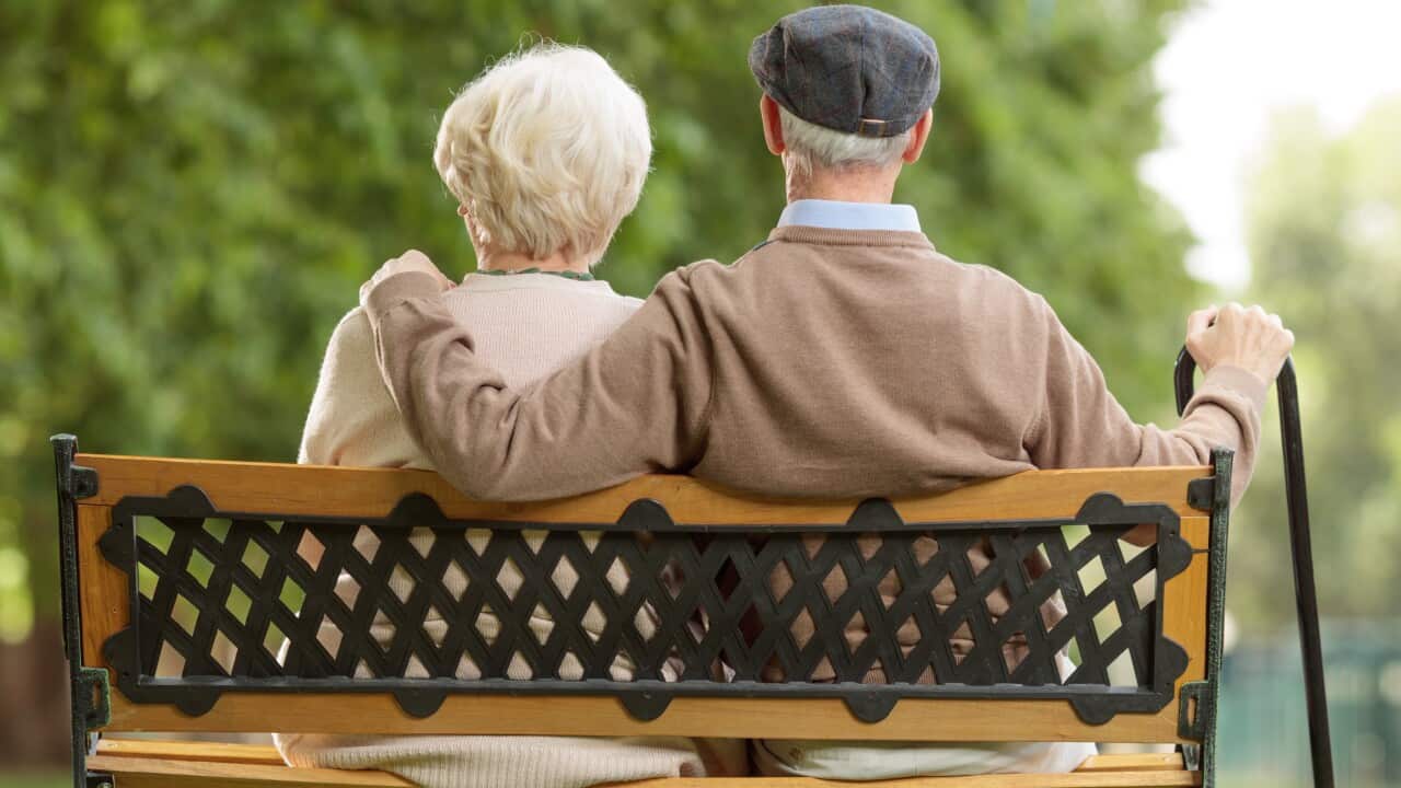 Senior couple sitting on a wooden bench in a park.