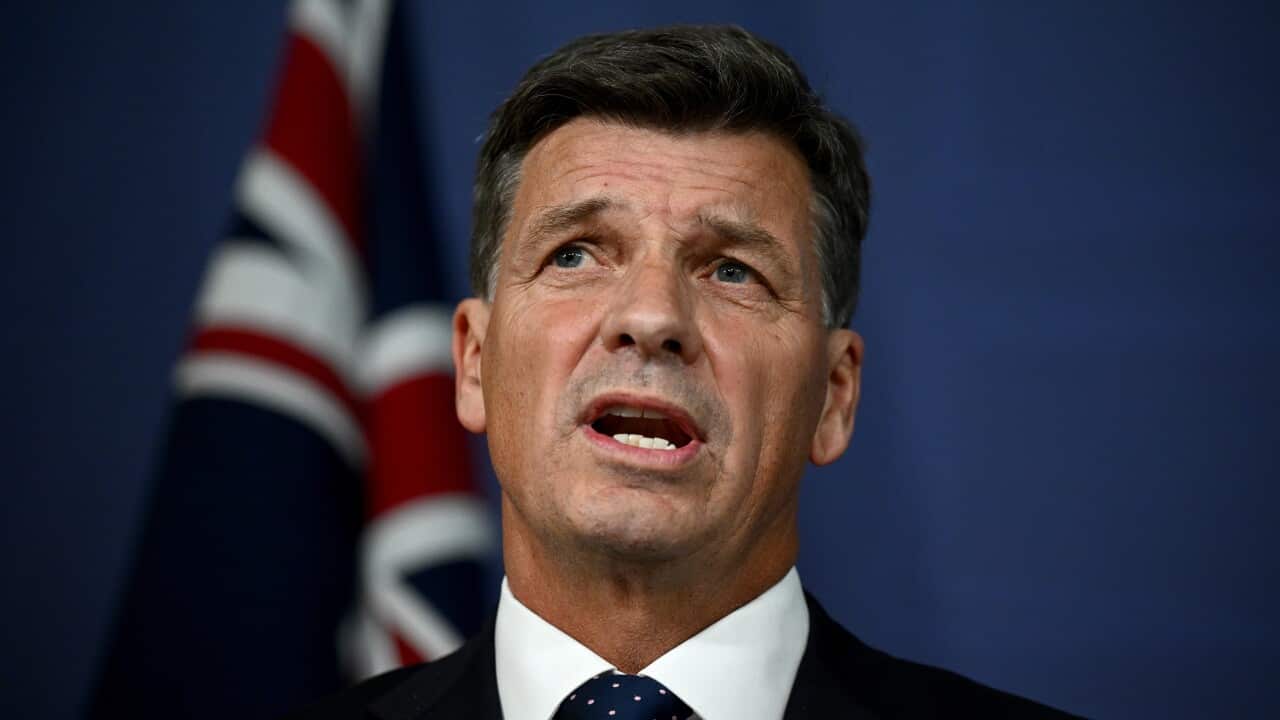 Angus Taylor speaking in front of an Australian flag.