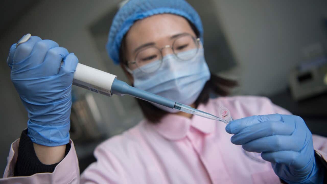 A Chinese medical worker performs genetic testing on fertilized eggs or embryos for test-tube babies (AAP)