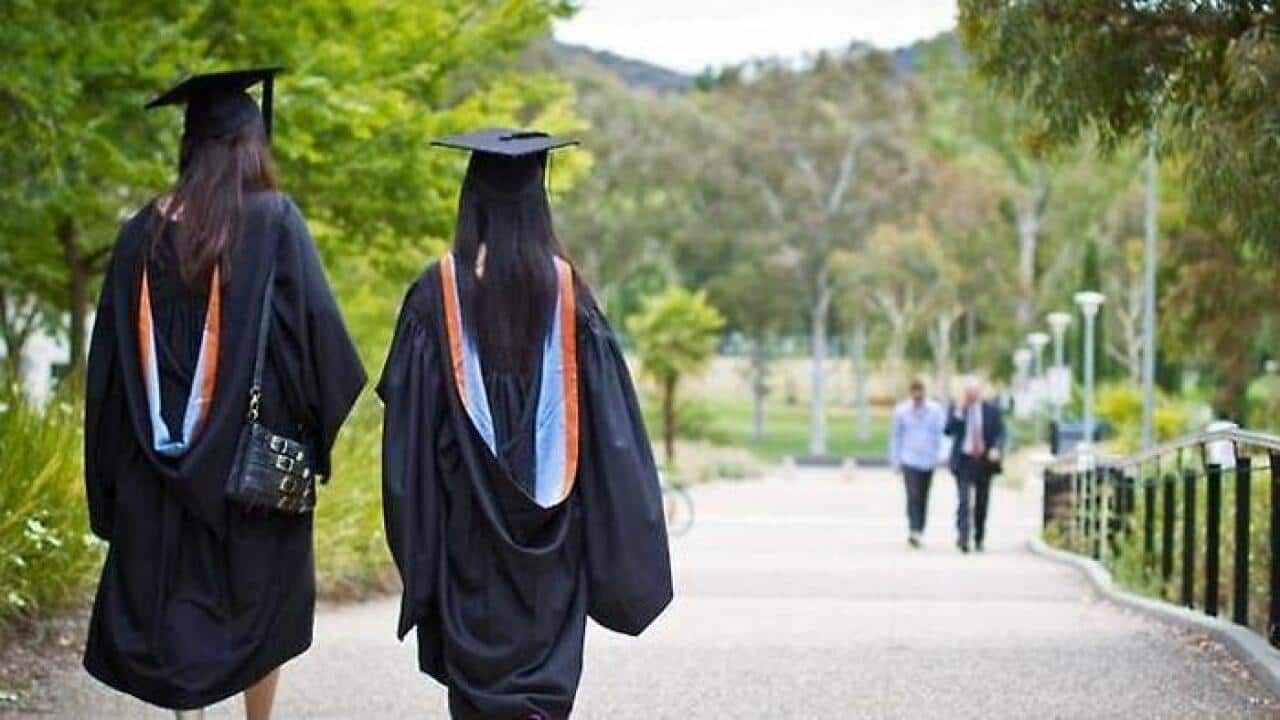 universities