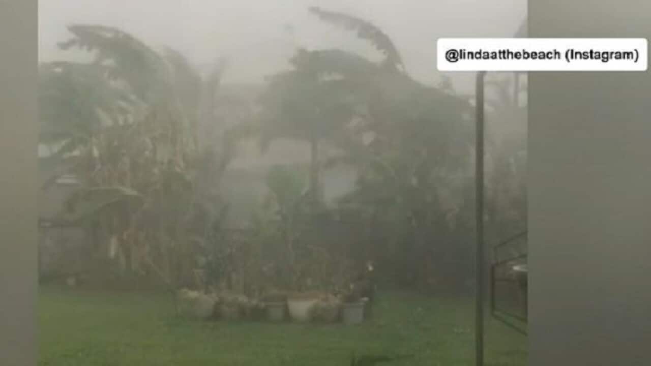 Noosa received more than 70mm of rain in less than a day. More rain is on the way today.