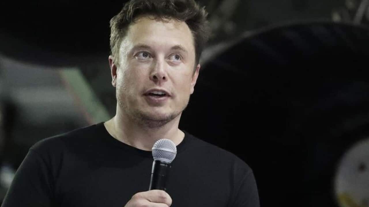 A file image of Elon Musk