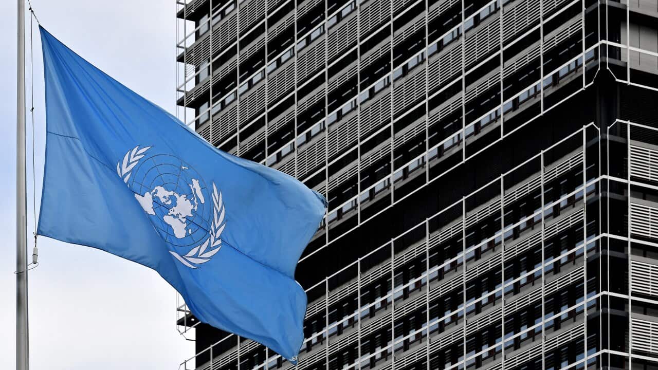 A UN flag waves in front of the United Nations (UN) building in Bonn, Germany