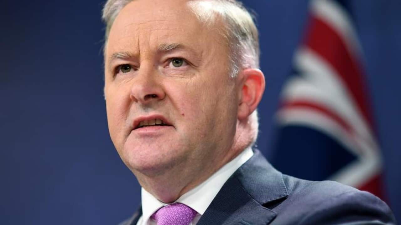 Labor leader Anthony Albanese