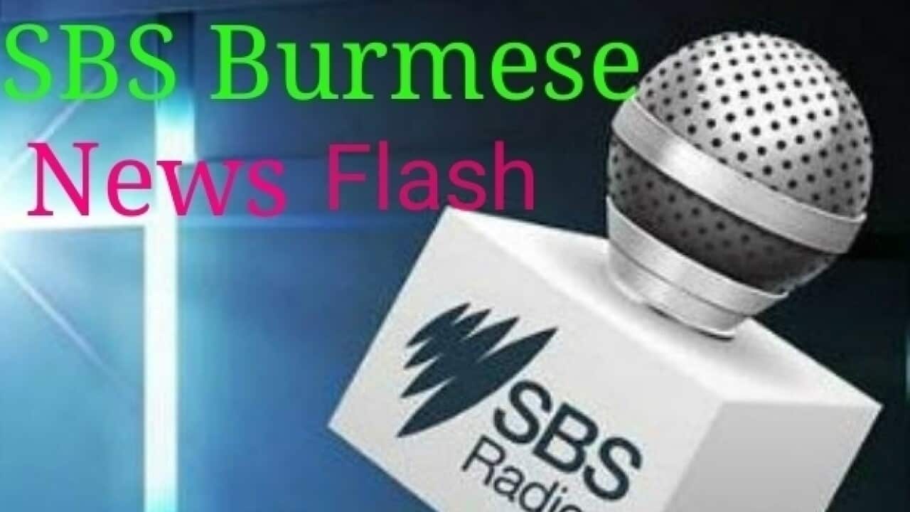 Burmese News Flash.jpg