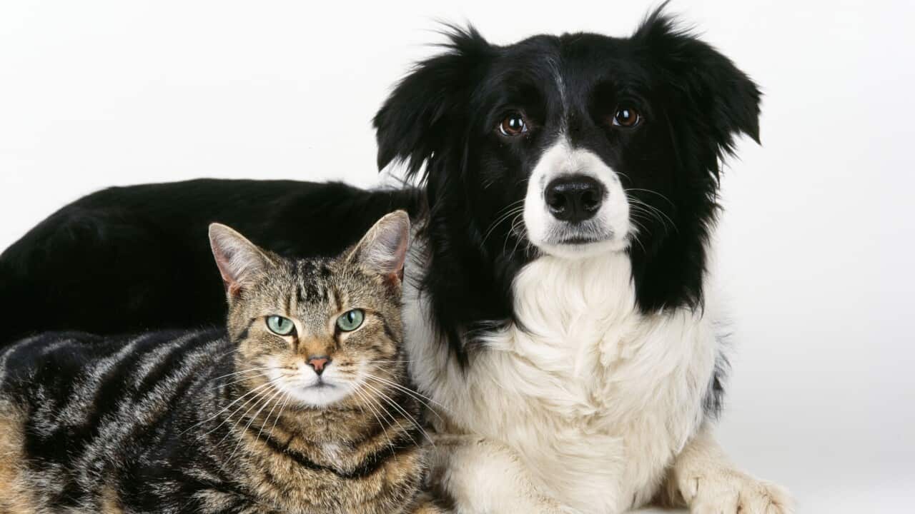 Image for read more article 'Más información:'